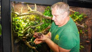El herpetólogo David Martí con una tarántula.