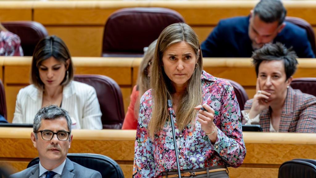 La vicepresidenta del Gobierno y ministra para la Transición Ecológica, Sara Aagesen, este martes en el Senado.