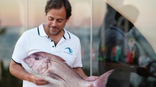 Pedro Bastos, el portugués que vende pescado a Pescaderías Coruñesas y otros reconocidos chefs de España