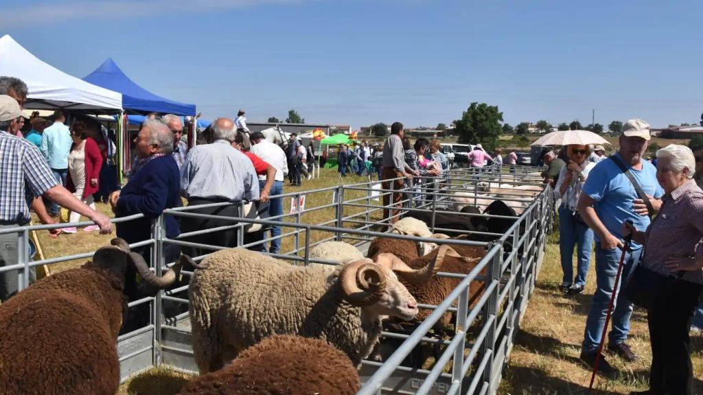 Feria ganadera de Lumbrales 2023