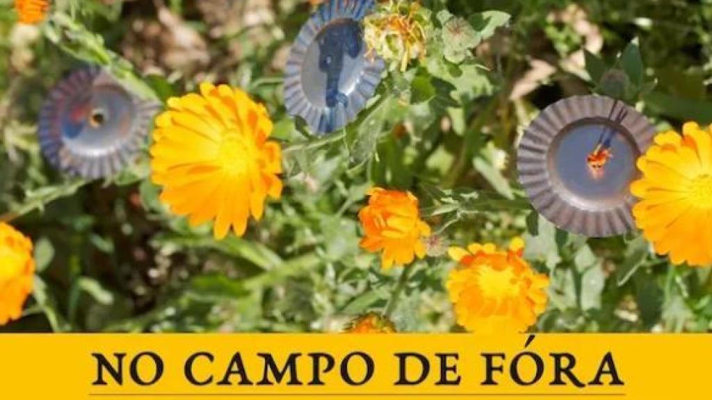 Cartel de la edición de 2025 de No Campo de Fóra.