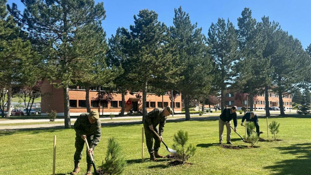 Plantación de árboles en  la Base burgalesa Cid Campeador