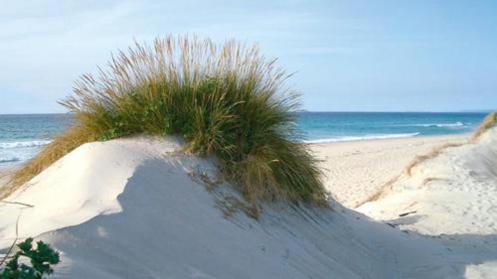 Una duna en la praia de Razo