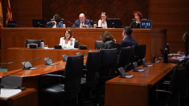 La gerente del Banco de Sangre, Rosa Plantagenet-Whyte, esta tarde, en la Comisión de Sanidad