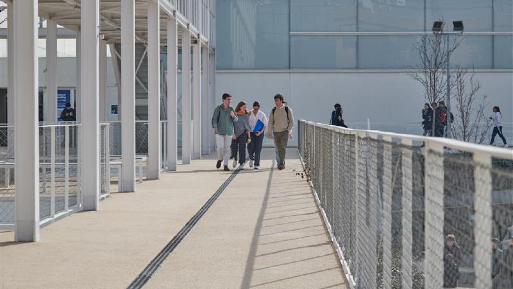 Universidad Francisco de Vitoria (UFV).