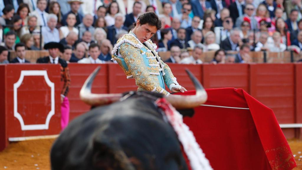 Roca Rey cita con la muleta a un toro en la Maestranza.