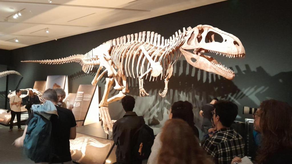 Exposición Dinosaurios de la Patagonia, CaixaForum Zaragoza.