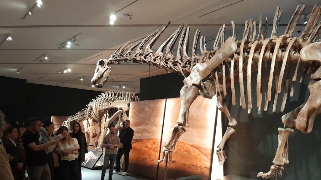 Exposición Dinosaurios de la Patagonia, CaixaForum Zaragoza.