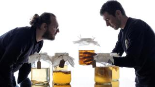 Captura de pantalla 2025-05-08 142634