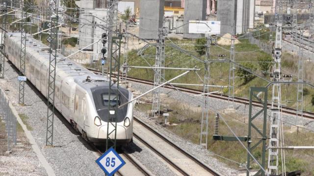 Ave a su paso por Palencia