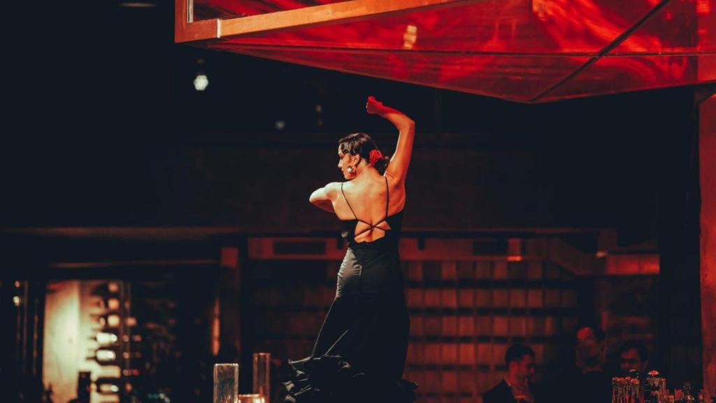 Espectáculo de baile en RHUDO.