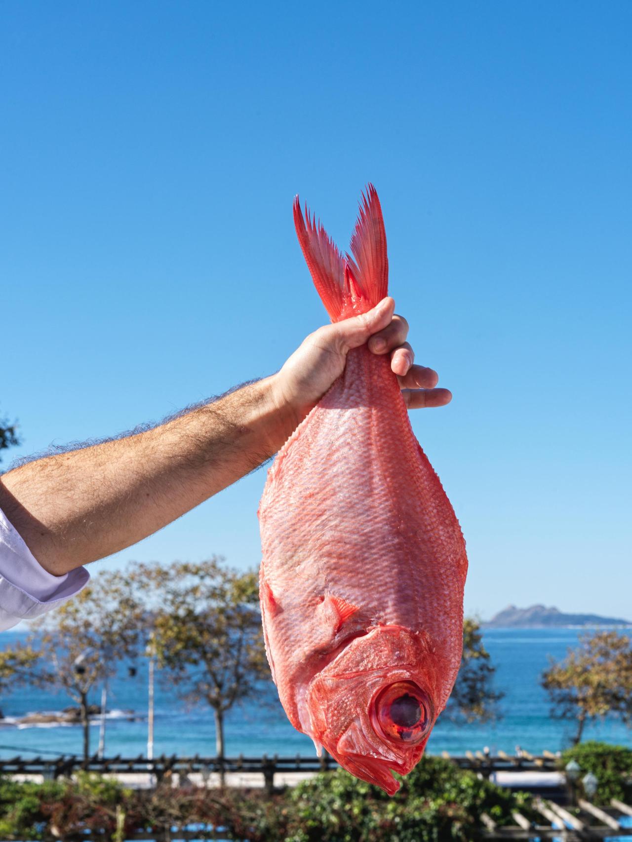 Restauración en el Attica 21 Vigo Business&Wellness.