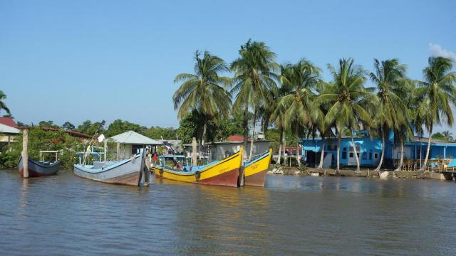 La playa de Surinam