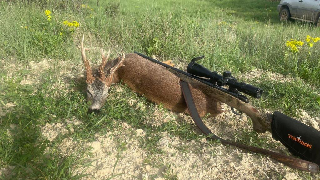 El corzo de tres cuernos cazado en Calatayud.