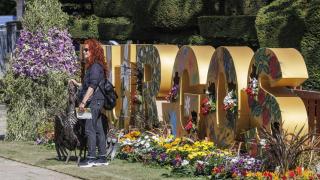 La Fiesta de las Flores en Burgos