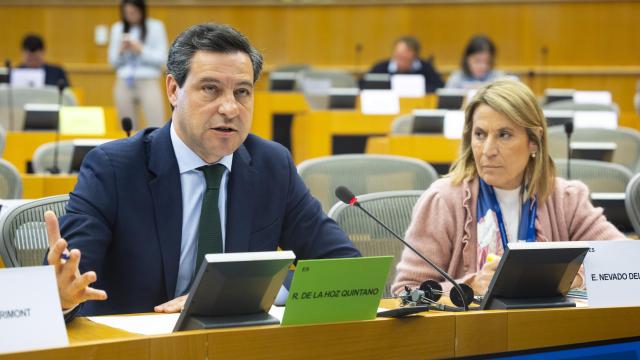 El eurodiputado popular Raúl de la Hoz durante una intervención en el Parlamento Europeo