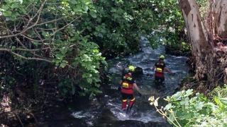 Zona donde ha sido encontrado un cadáver en Ubrique (Cádiz).