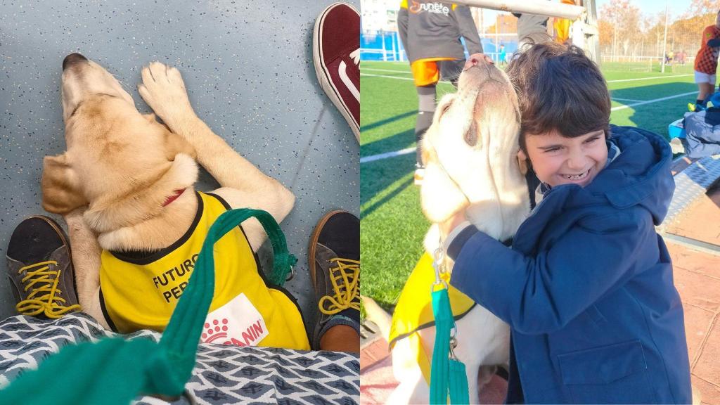 El futuro perro guía Wisper con su familia de acogida.