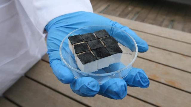 Esponjas de 0,8 g cada una pueden absorber 15 ml de agua de la atmósfera.