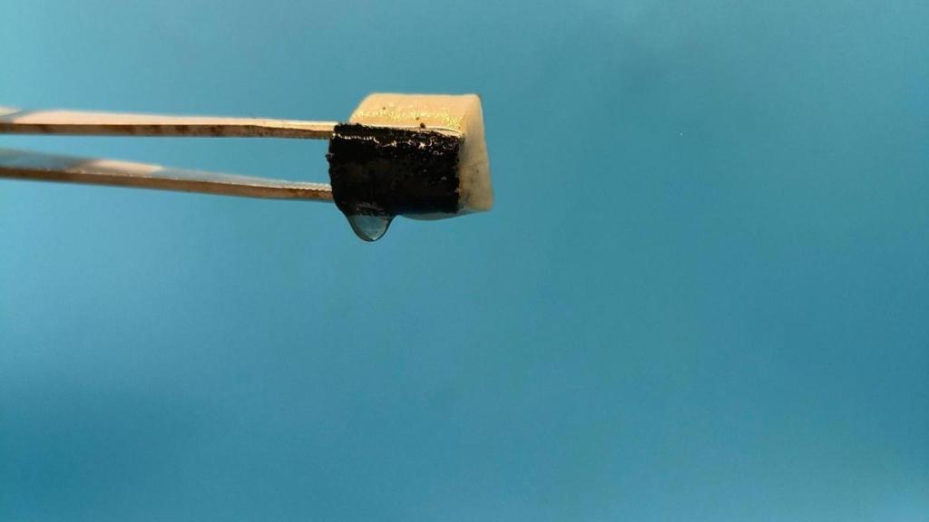 Esponja de madera para absorber la humedad del aire