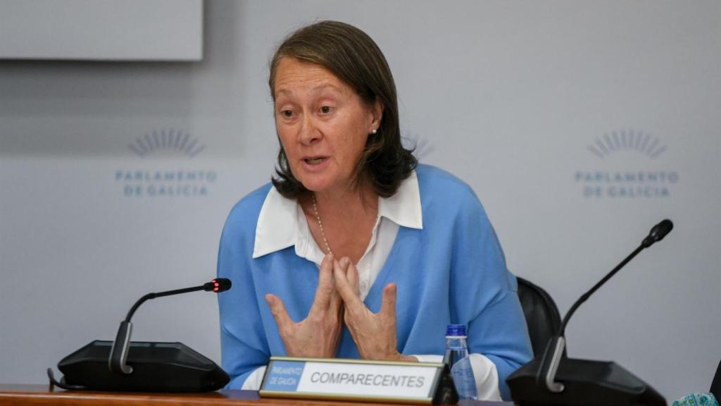 Archivo - La directora xeral de Patrimonio Cultural, Mª del Carmen Martínez, en comisión parlamentaria
