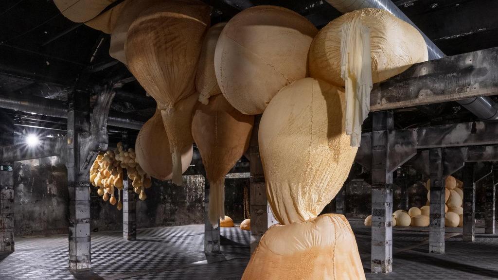 Vista general de la instalación. Foto: IDC Studio / Matadero Madrid