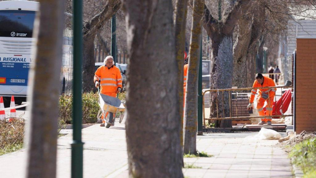 Unos trabajadores en el Paseo de Zorrilla