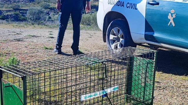La Guardia Civil sorprende a un hombre portando un arma alimentada en época de veda que vigilaba el estado de una jaula trampa