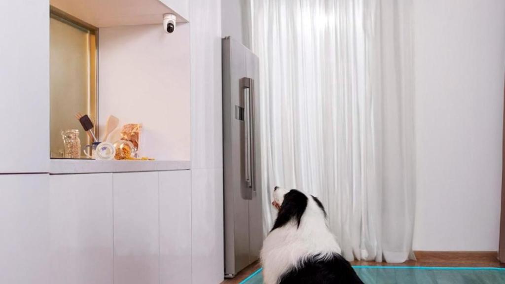 Cámara de vigilancia interior eufy Security IndoorCam