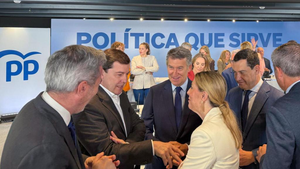 Fernández Mañueco asiste a la reunión del Comité Ejecutivo Nacional junto a Feijóo