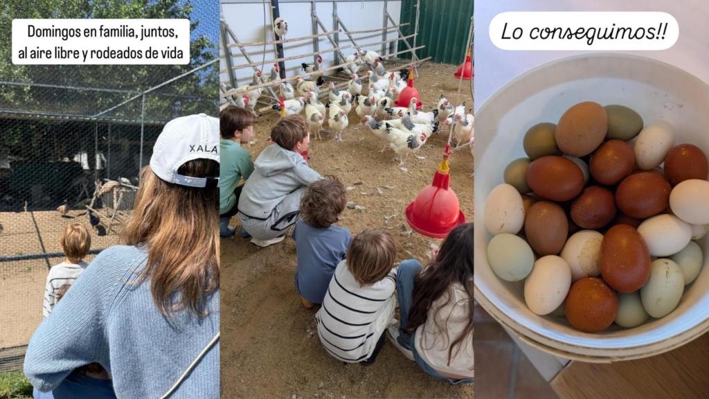 El plan de Alejandra Silva en una finca en Cáceres.