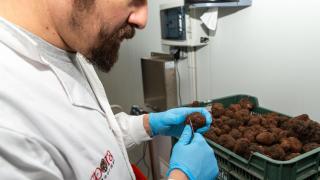 Un trabajador sostiene una trufa en la fábrica de Soria