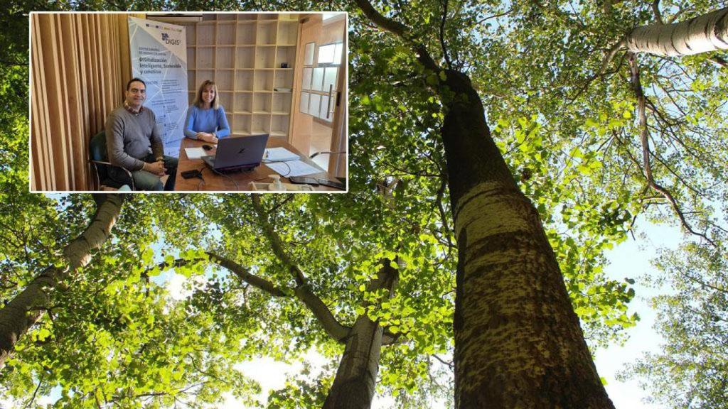 Chopos e investigadores de la ULE que participan en el proyecto