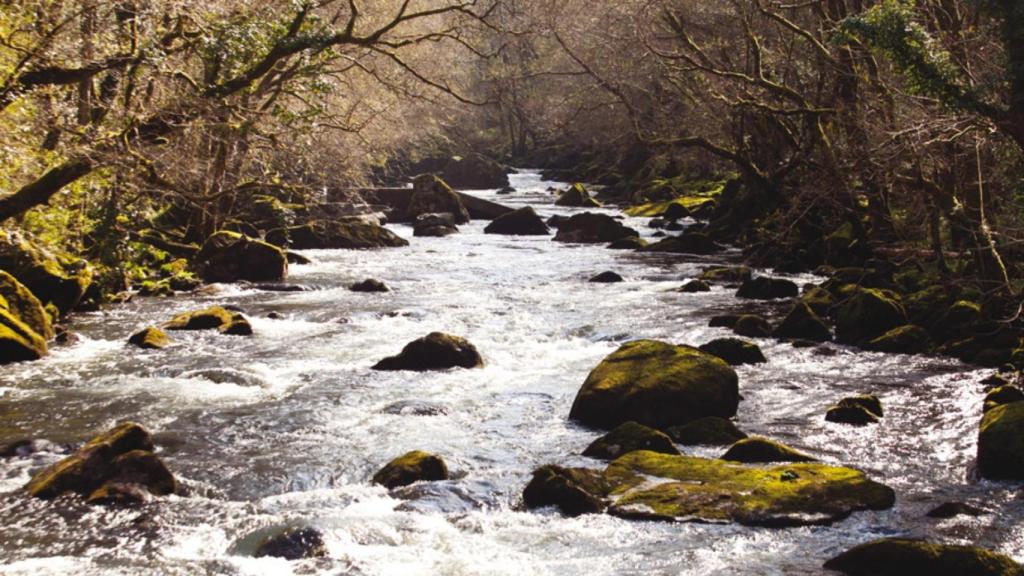 Reserva Terras do Mandeo