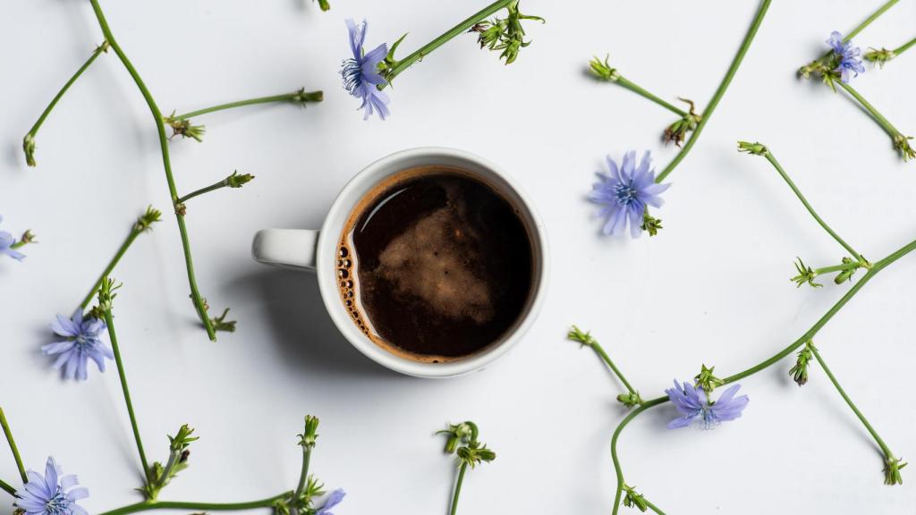 Una taza de café con hierbas de achicoria.