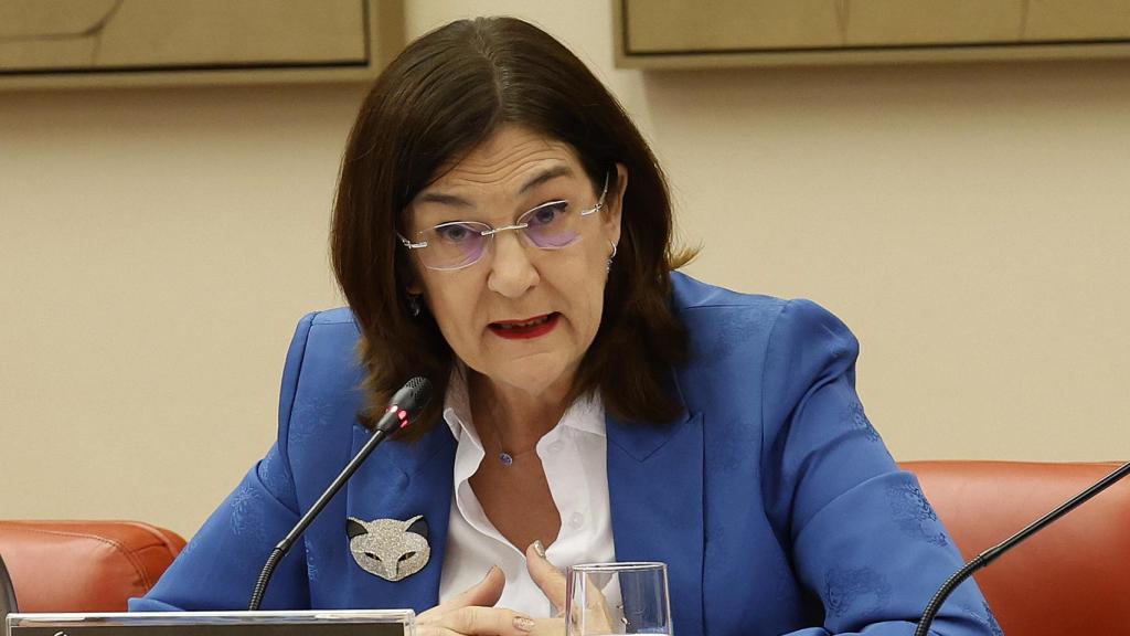 La presidenta de la Comisión Nacional del Mercado de la Competencia (CNMC), Cani Fernández comparece este martes en el Congreso de los Diputados