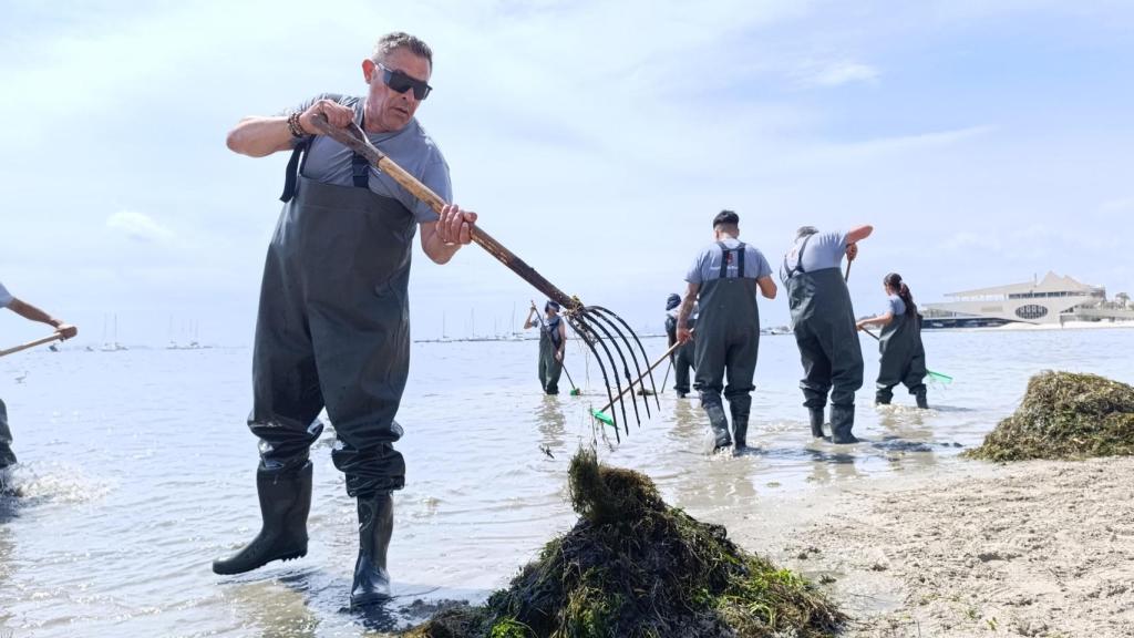 Un grupo de limpiadores retira biomasa del Mar Menor, en Santiago de la Ribera.