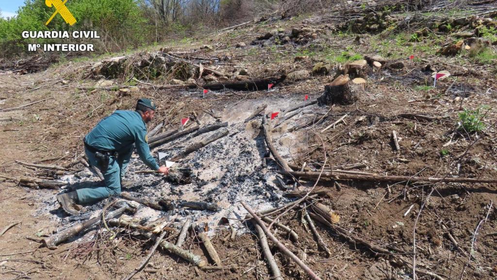 La Guardia Civil investiga un incendio forestal en Salamanca