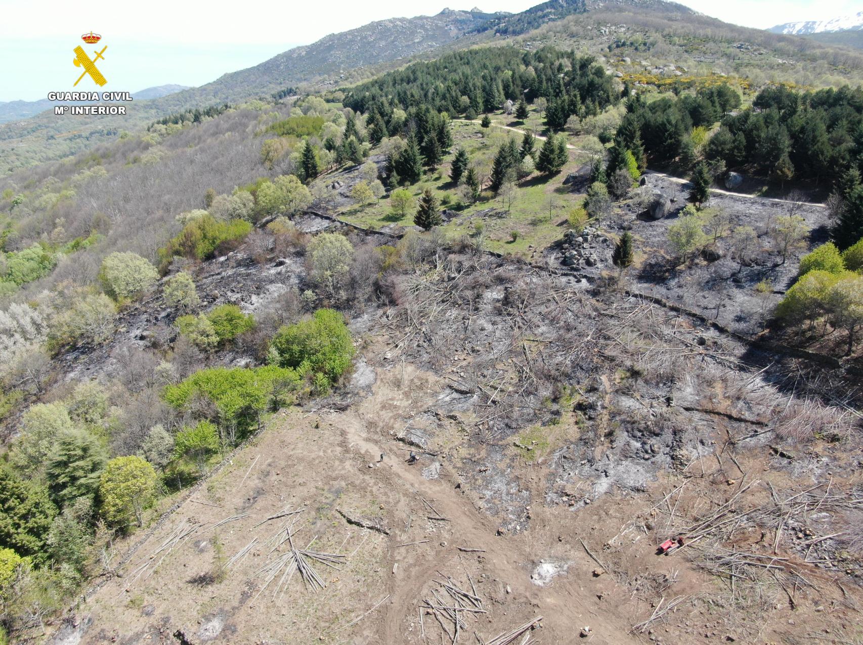 Área quemada en el incendio forestal de Puerto de Béjar