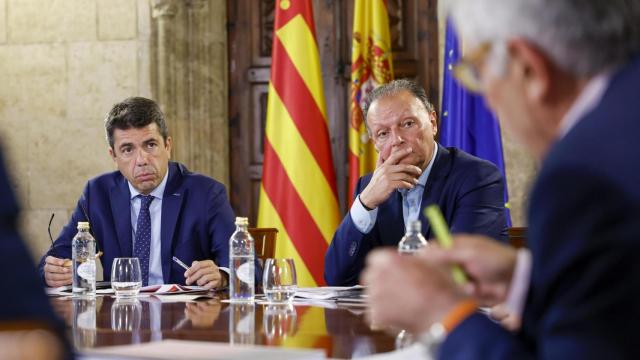Carlos Mazón y Salvador Navarro durante la reunión. EFE/Ana Escobar