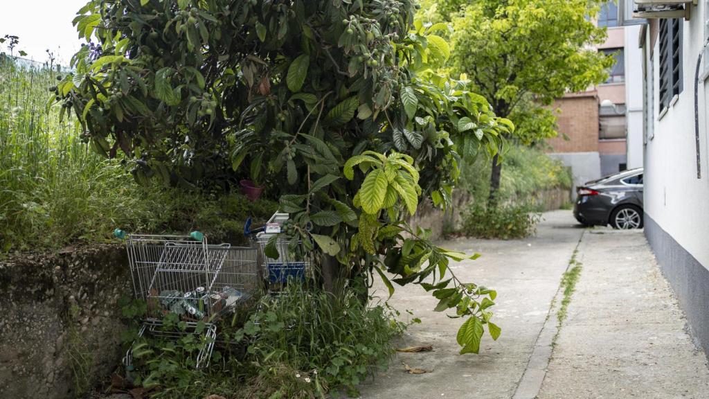 Un asentamiento en la calle Trespaderne, en Madrid.