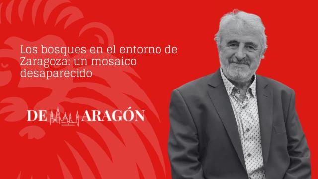 Los bosques en el entorno de Zaragoza: un mosaico desaparecido