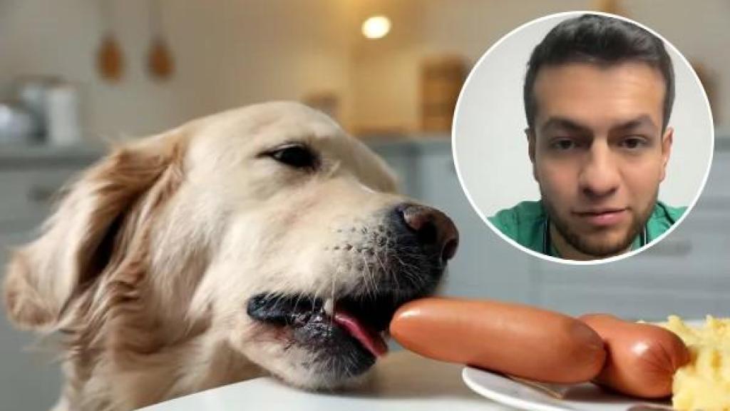 David Aldás, veterinario.