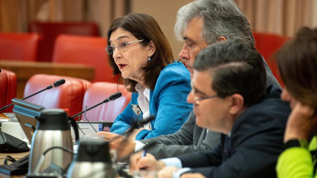 Cani Fernández, presidenta de la CNMC, durante su comparecencia en la Comisión de Economía del Congreso.