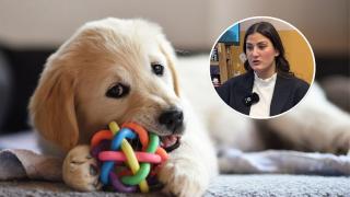 La experta aclara el peligro de estos objetos.