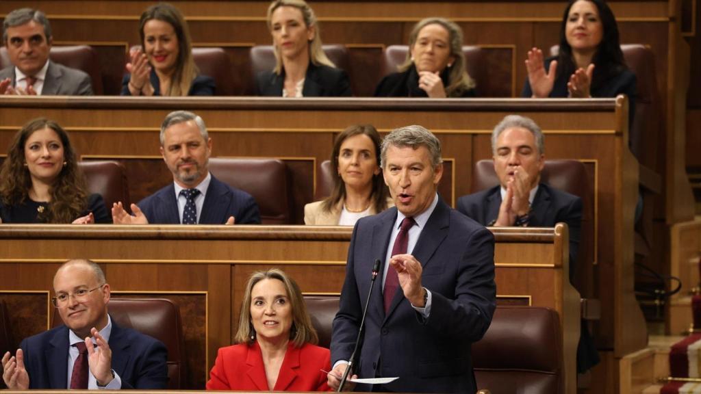 El presidente del PP, Alberto Núñez Feijóo, durante la sesión de control al Gobierno.