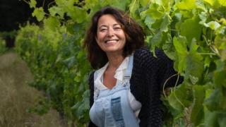 Captura de pantalla 2025-05-14 110011