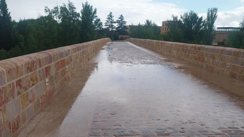 Balsa de agua en el Puente de Piedra