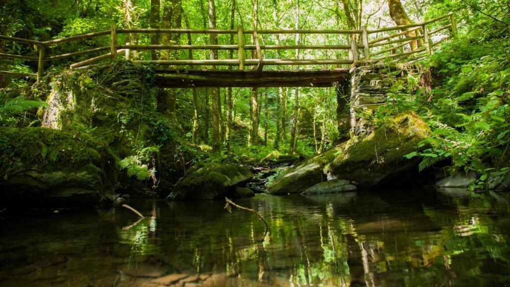 El río Porteliña en la Seimeira de Vilagocende, en A Fonsagrada (Lugo)