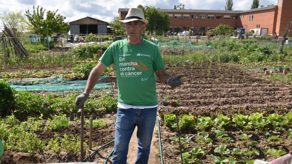 Virgilio, uno de los usuarios de los huertos de Valladolid